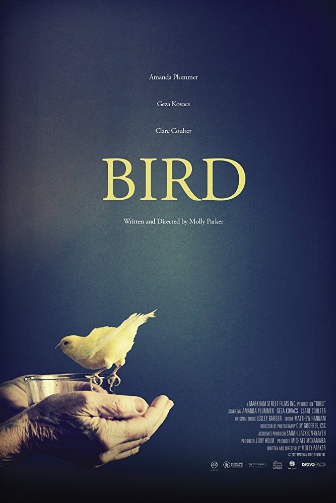 Постер Bird